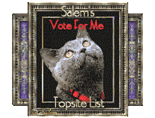 salemstopsite_vote.gif
